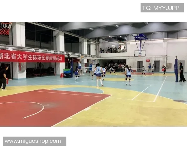 武汉排球队引领最新排球意识TOP10榜单展现实力与风采 武汉排球队引领最新排球意识TOP10榜单展现实力与风采