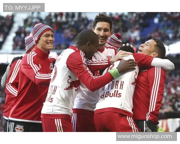 多伦多与火焰的激烈对决谁能在冰上称王称霸 多伦多与火焰的激烈对决谁能在冰上称王称霸