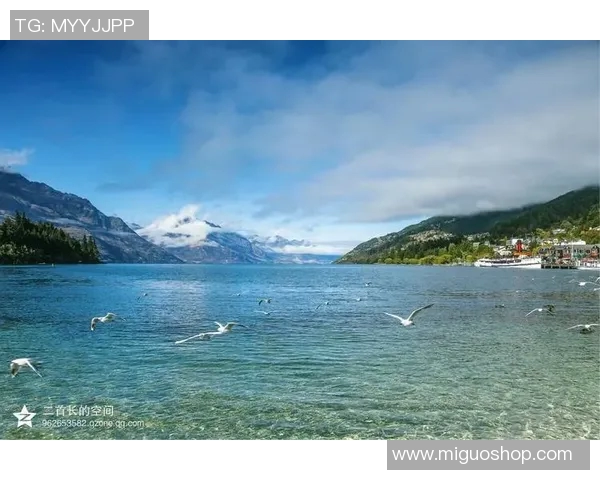 2019年蓝队与新西兰精彩对决重播回顾与分析