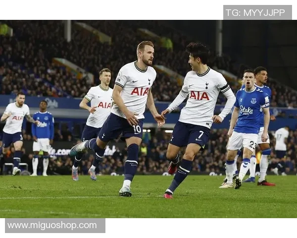 2019年埃弗顿对阵热刺精彩直播回顾与赛后分析