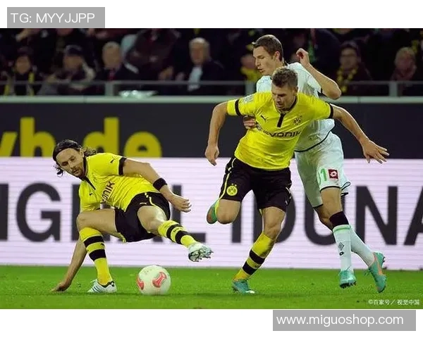 布莱顿与伯恩利激战成和比分揭晓精彩瞬间回顾