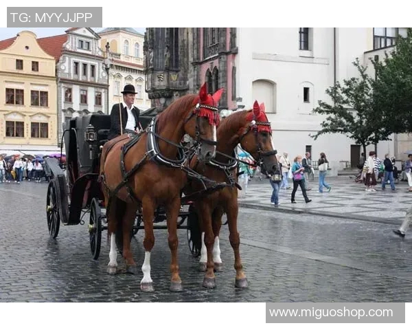 哈德森的魅力探秘:从历史遗迹到现代文化的融合之旅 哈德森的魅力探秘:从历史遗迹到现代文化的融合之旅