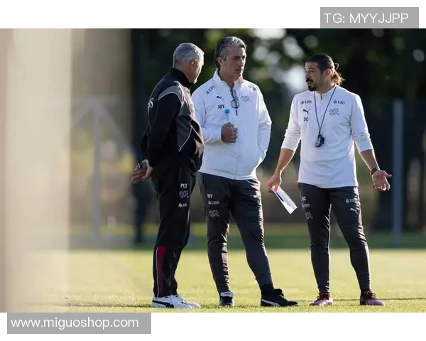 巴素利与锡昂的精彩对决揭示瑞士足球的魅力与竞争激烈性