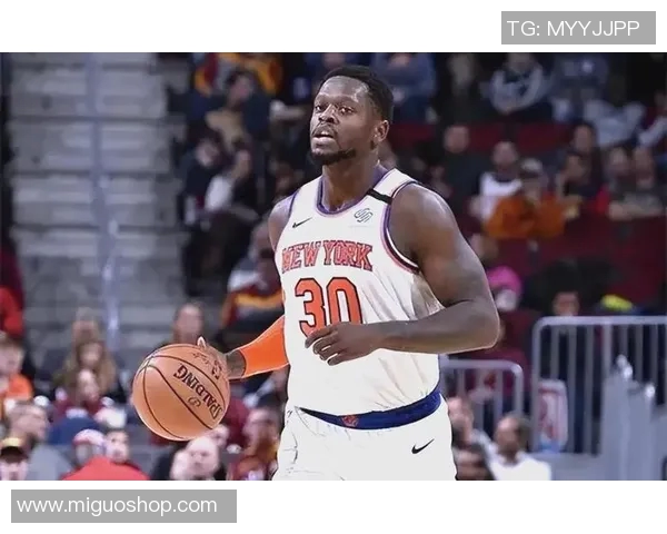 朱利叶斯兰德尔的篮球之路与未来展望：从新秀到全明星的成长历程