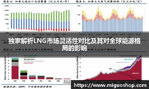 雷竞技raybet