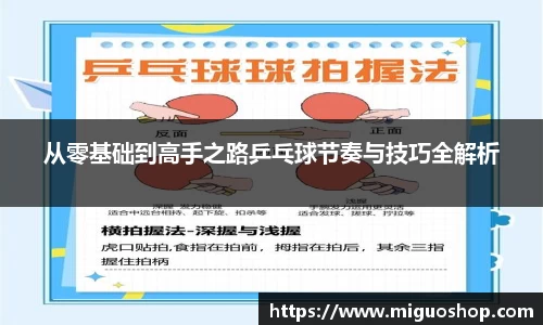 从零基础到高手之路乒乓球节奏与技巧全解析